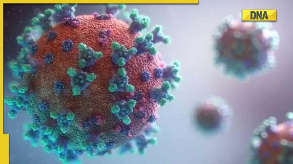 研究:SARS-CoV-2病毒可在冷藏、冷冻的肉和鱼上存活30天