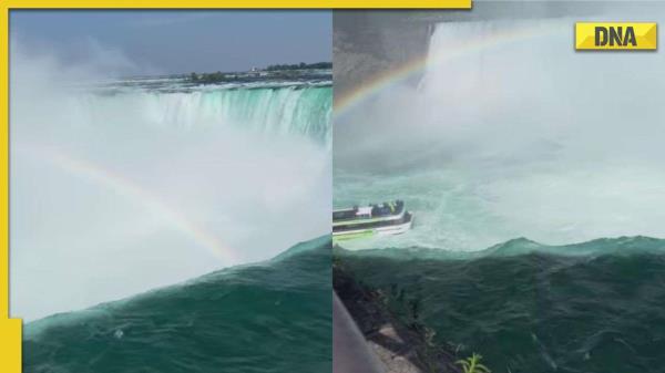 尼亚加拉瀑布令人惊叹的彩虹美景在网上疯传，网友们都被迷住了