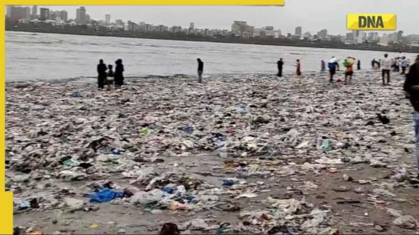 病毒视频:孟买海滩塑料泛滥，引起网友关注