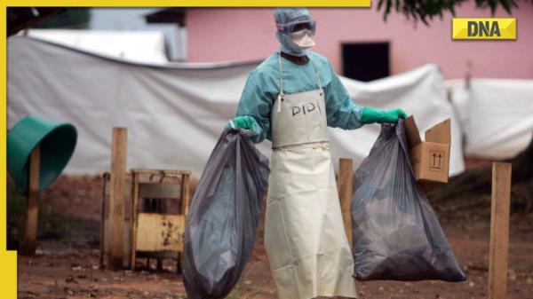 世卫组织宣布加纳爆发马尔堡疫情:了解症状、死亡率、如何传播
