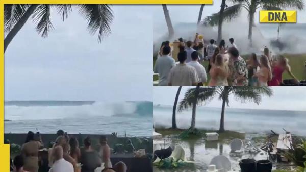巨大的墙壁一样的海浪冲击着夏威夷的海边婚礼，观看这个令人毛骨悚然的视频，有超过800万的浏览量