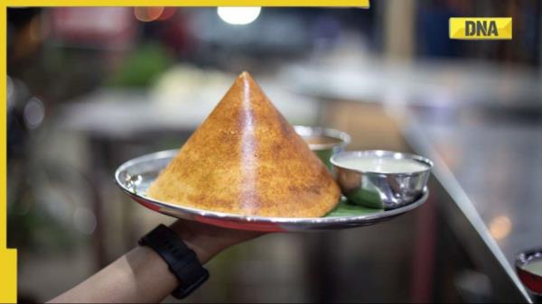 病毒式传播:美国一家餐厅的菜单把南印度的印度薄饼写成了“裸可丽饼”，网友们震惊了