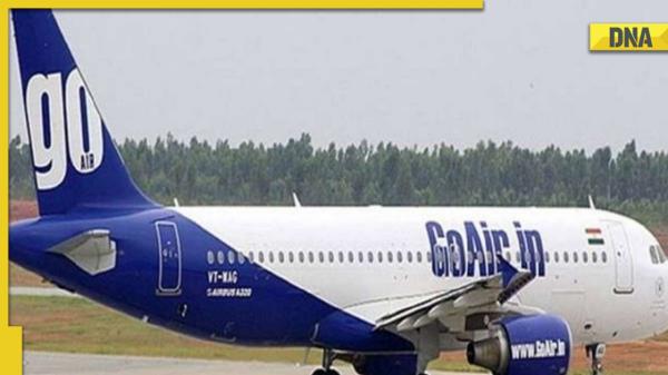 机场毛茸茸的惊喜:印度民航总局说，跑道上的流浪狗打断了Leh-Delhi GoAir航班的起飞