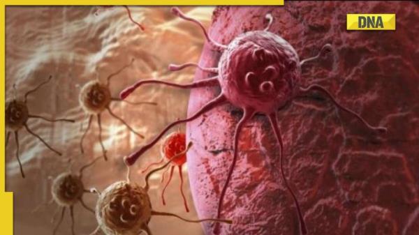 2022年世界肺癌日:免疫疗法如何帮助更好地对抗癌症