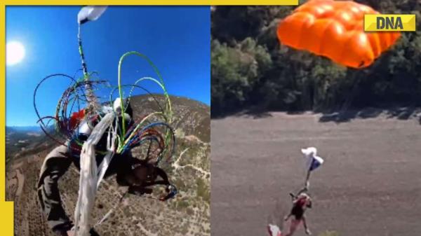 一名男子在滑翔伞飞行时面临濒死体验:看这个走红的视频