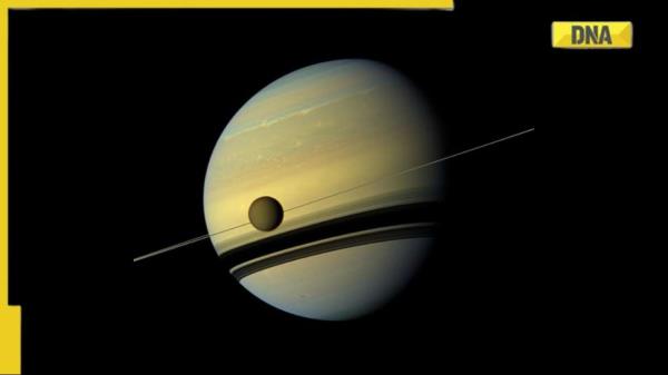 土星对业余天文学家来说是一个很好的位置，正对着太阳:NASA