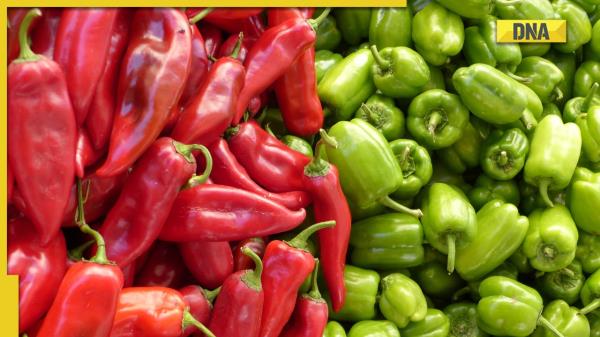 饮食中的绿辣椒和红辣椒:知道哪种更健康