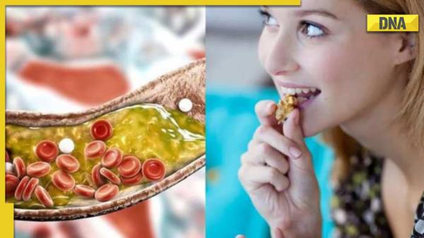 高胆固醇饮食:控制饥饿感的健康零食