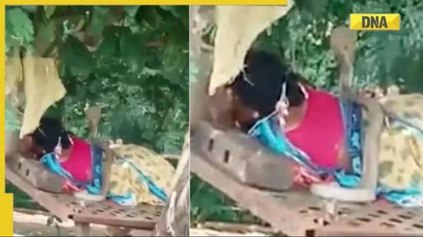 病毒视频:带着兜帽的蛇坐在田野里睡着的女人身上，知道接下来发生了什么吗