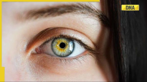 眼睛葡萄膜炎:如何发生肿胀和刺激?了解新的诊断方法