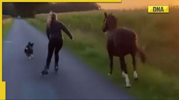 Viral video: Woman skates with her pet dog and horse, Twitterati calls it ‘awesome’